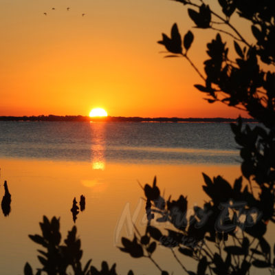 Morning's first flight