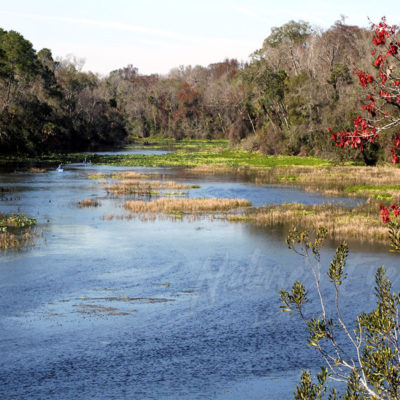 Crusin' down the river