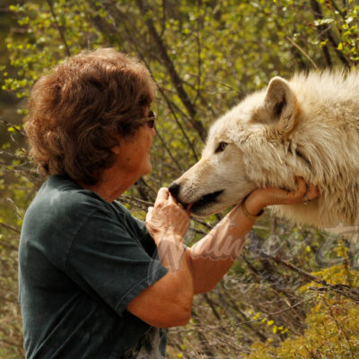 I looked into the Wolf's eyes and saw the soul of Nature