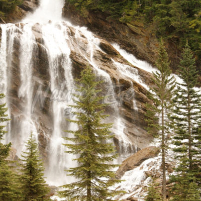 Springtime in the Rockies