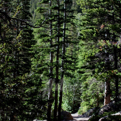 Hold my hand and walk with me